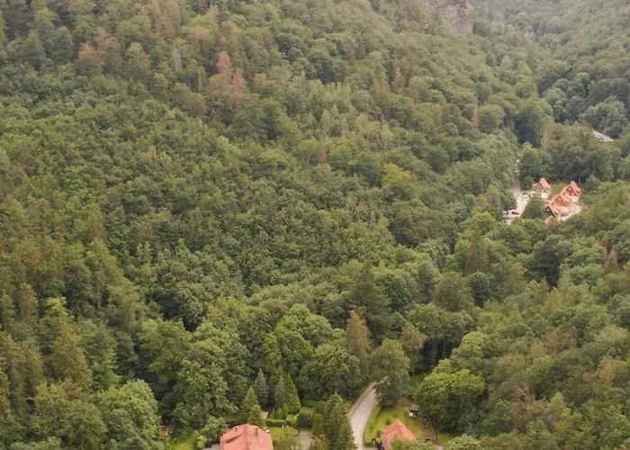 Ferienhaeuser Am Brocken, 80 Qm 3 Schlafzimmer Prázdninový dům Ilsenburg